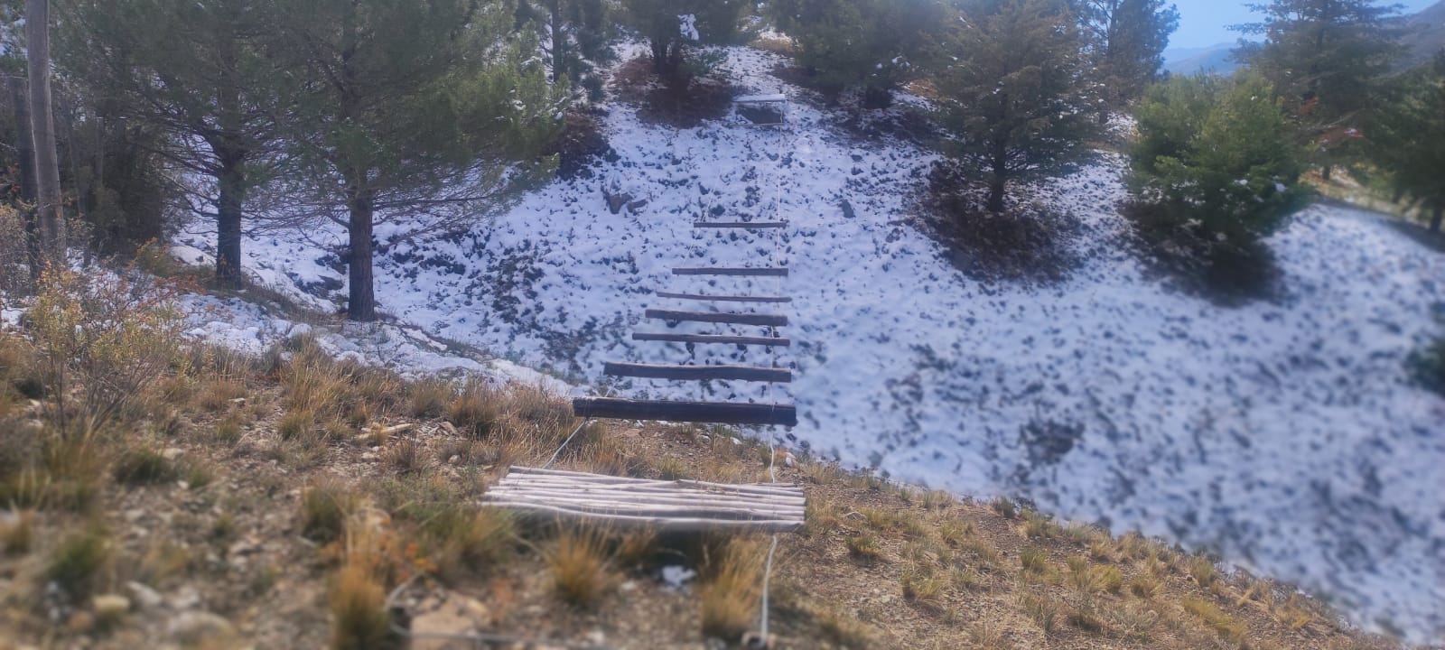 Título foto